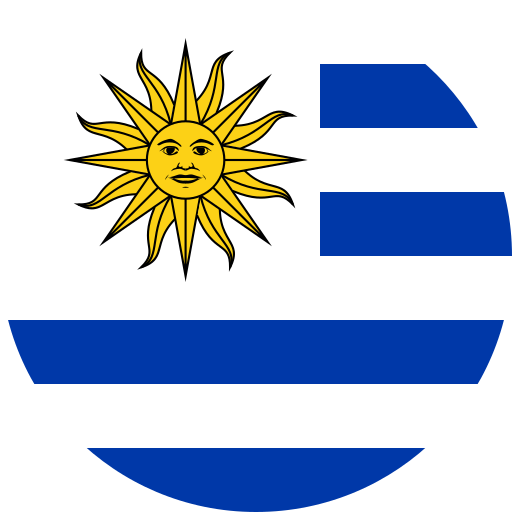 Bandera del País